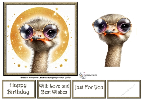 Sunglasses Ostrich 3