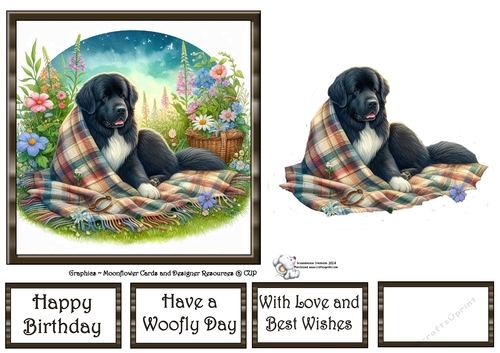 WildFlower Blanket Dogs (1) 1