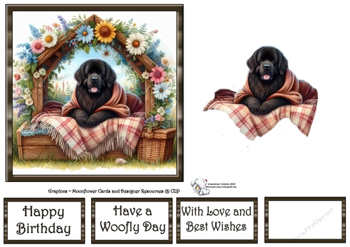 WildFlower Blanket Dogs (1) 2