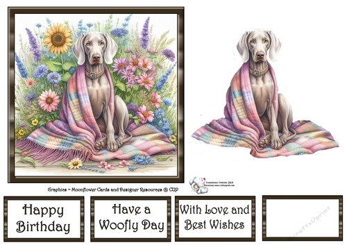 WildFlower Blanket Dogs (1) 3