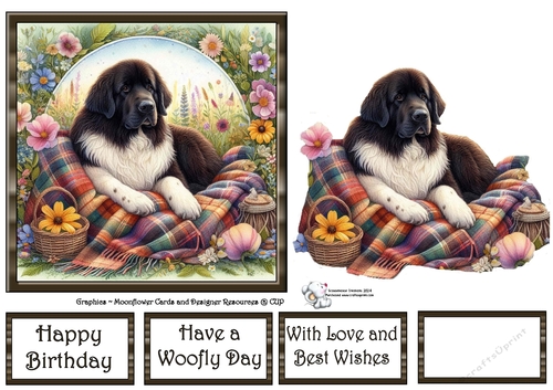 WildFlower Blanket Dogs (1) 4