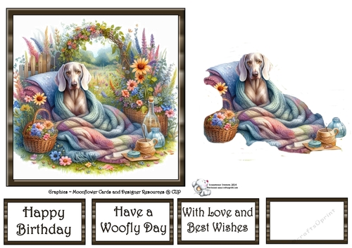 WildFlower Blanket Dogs (2) 1