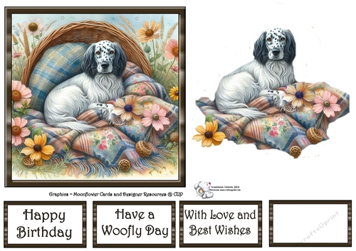 WildFlower Blanket Dogs (2) 4