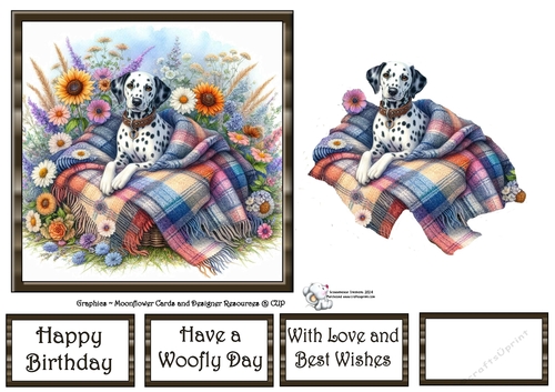 WildFlower Blanket Dogs (3) 1