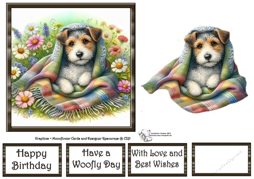 WildFlower Blanket Dogs (3) 4