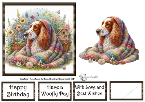 WildFlower Blanket Dogs (3) 5