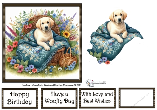 WildFlower Blanket Dogs (4) 3