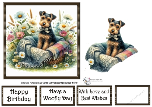 WildFlower Blanket Dogs (4) 4