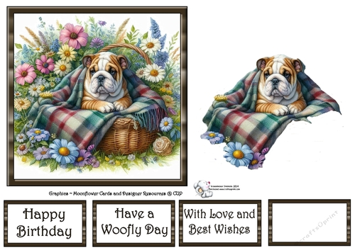 WildFlower Blanket Dogs (5) 2