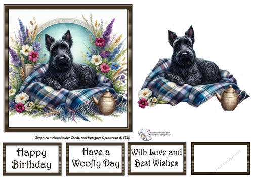 WildFlower Blanket Dogs (6) 4