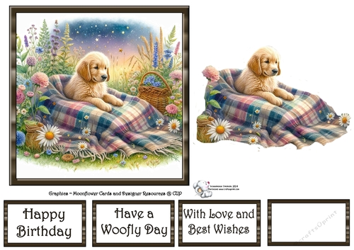 WildFlower Blanket Dogs (8) 1