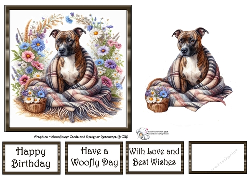 WildFlower Blanket Dogs (10) 1