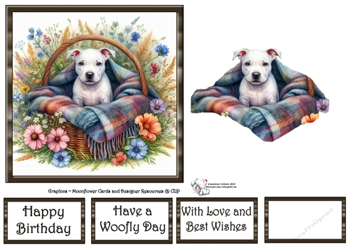 WildFlower Blanket Dogs (10) 2