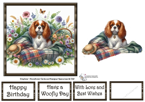 WildFlower Blanket Dogs (10) 3