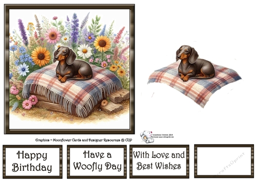 WildFlower Blanket Dogs (13) 1