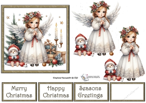 Angel 1