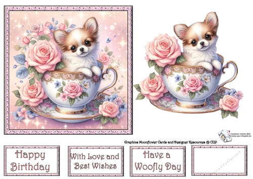 Rose teacup chihuahua 1