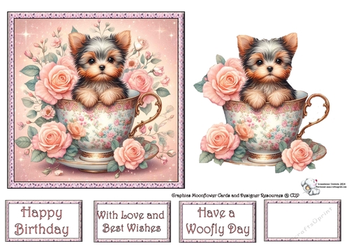 Rose Teacup Yorkie 1