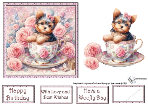 Rose Teacup Yorkie 3