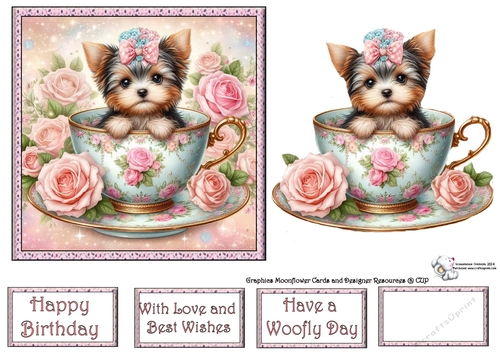 Rose Teacup Yorkie 4