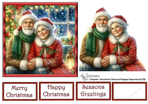 Christmas Senior Couple 1