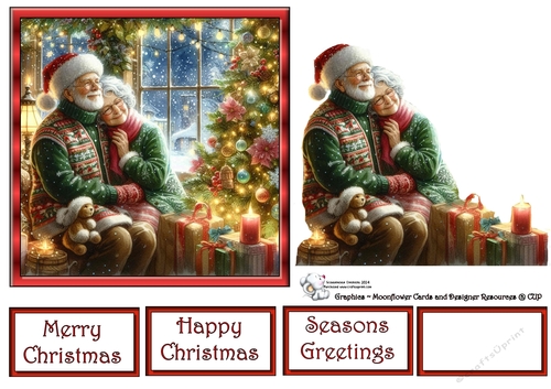 Christmas Senior Couple 2