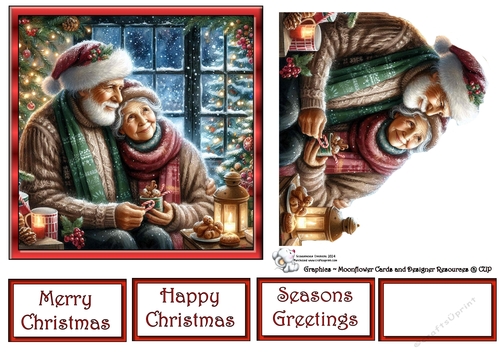 Christmas Senior Couple 3