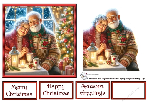 Christmas Senior Couple 4