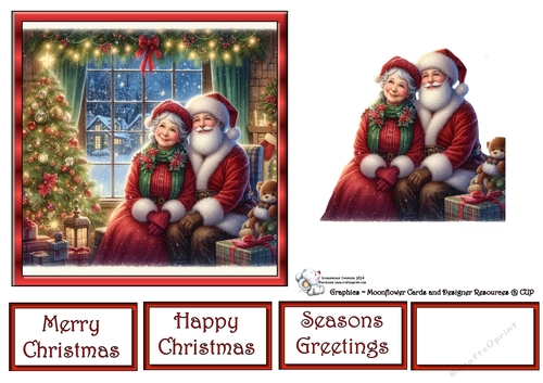 Christmas Senior Couple 6