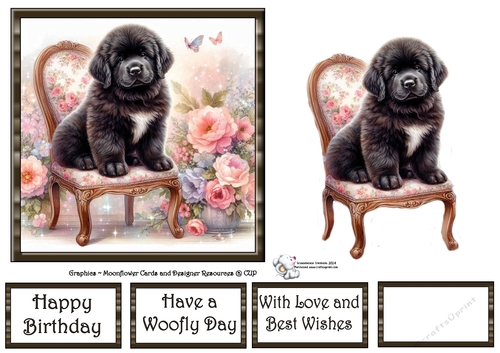 Whimsical Floral Chair Pups (1) 3
