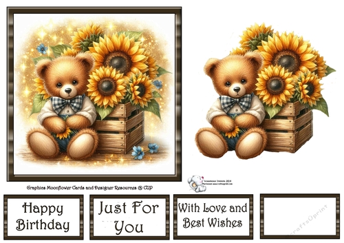 Sunflower Box Bear 1