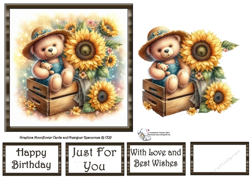 Sunflower Box Bear 3