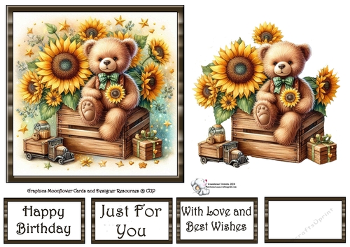 Sunflower Box Bear 4