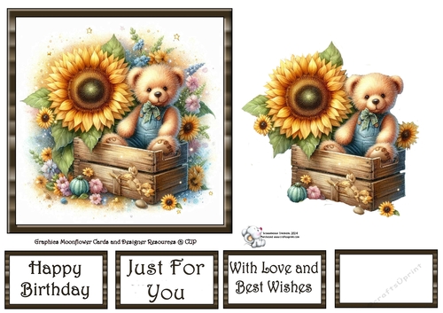 Sunflower Box Bear 5
