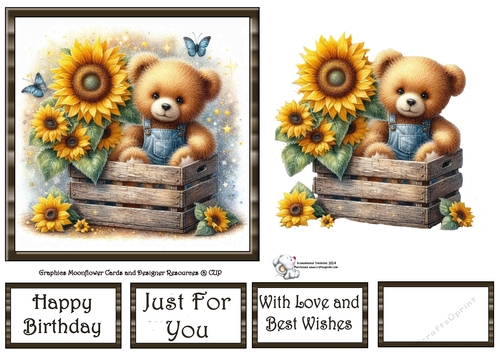 Sunflower Box Bear 6