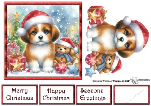 Cute Puppy at Christmas 1