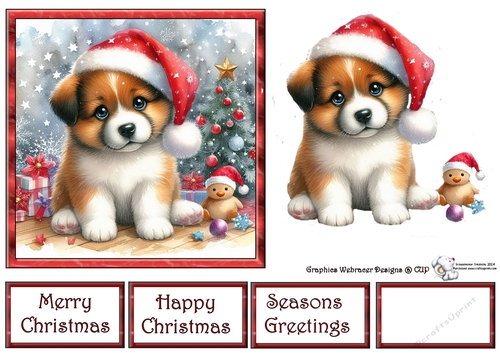 Cute Puppy at Christmas 2