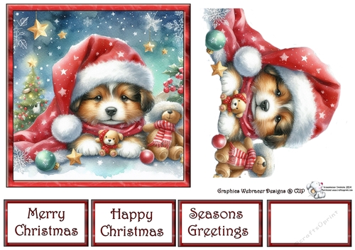 Cute Puppy at Christmas 3