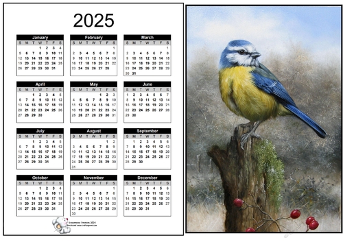 2025 CALENDAR Blue tit on a stump