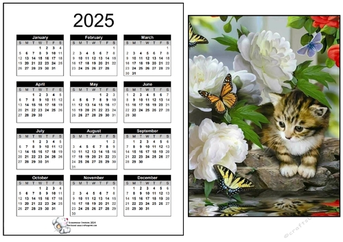 2025 CALENDAR Cute Kitty in the Flowers
