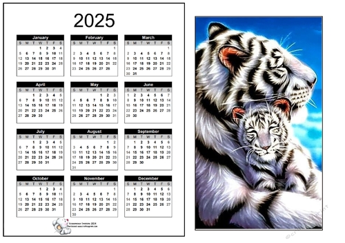 2025 CALENDAR White Tigers