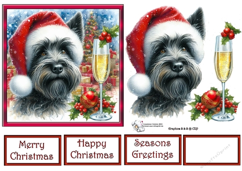 Christmas Champagne Dog 4