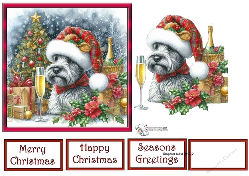 Christmas Champagne Dog 5