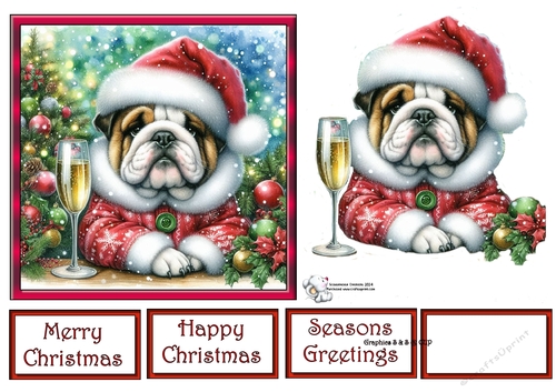 Christmas Champagne Dog 6