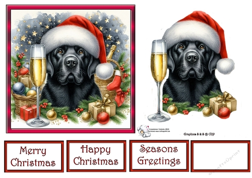 Christmas Champagne Dog 7