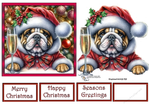 Christmas Champagne Dog 8