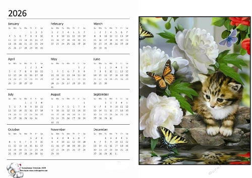 2026 calendar Kitty in the flowers