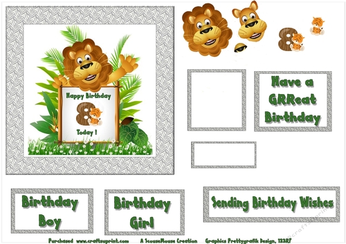 Lion 8th Birthday Sheet