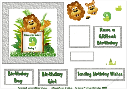Lion 9th Birthday Sheet