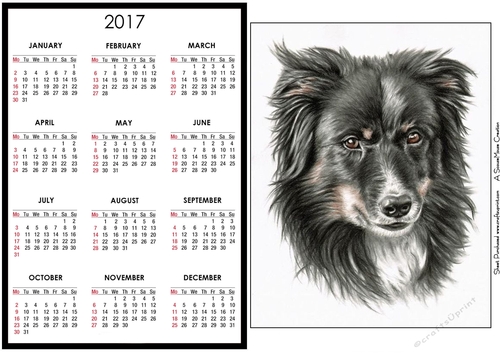 The Collie Calendar